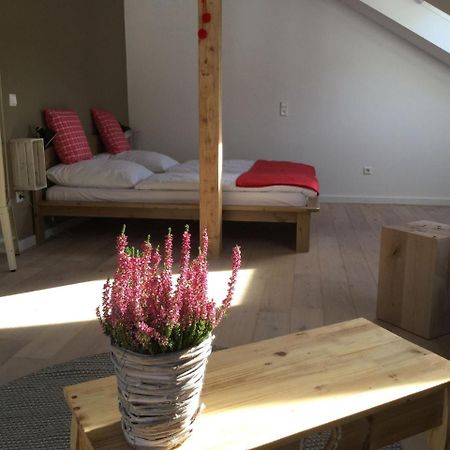 شقة Erikas Haus Münstertal المظهر الخارجي الصورة
