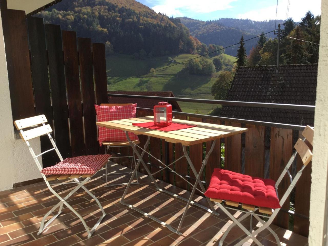 شقة Erikas Haus Münstertal المظهر الخارجي الصورة