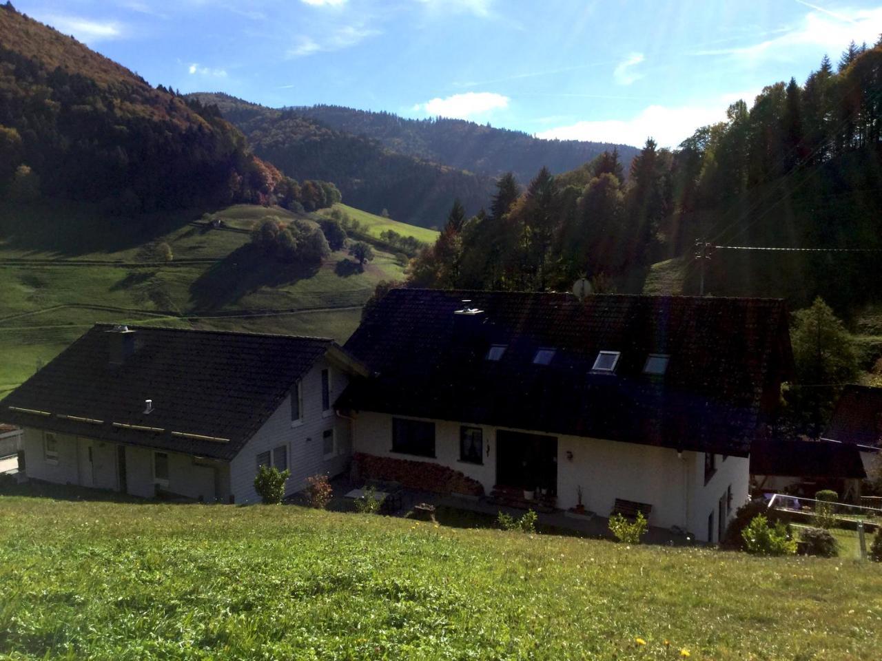 شقة Erikas Haus Münstertal المظهر الخارجي الصورة