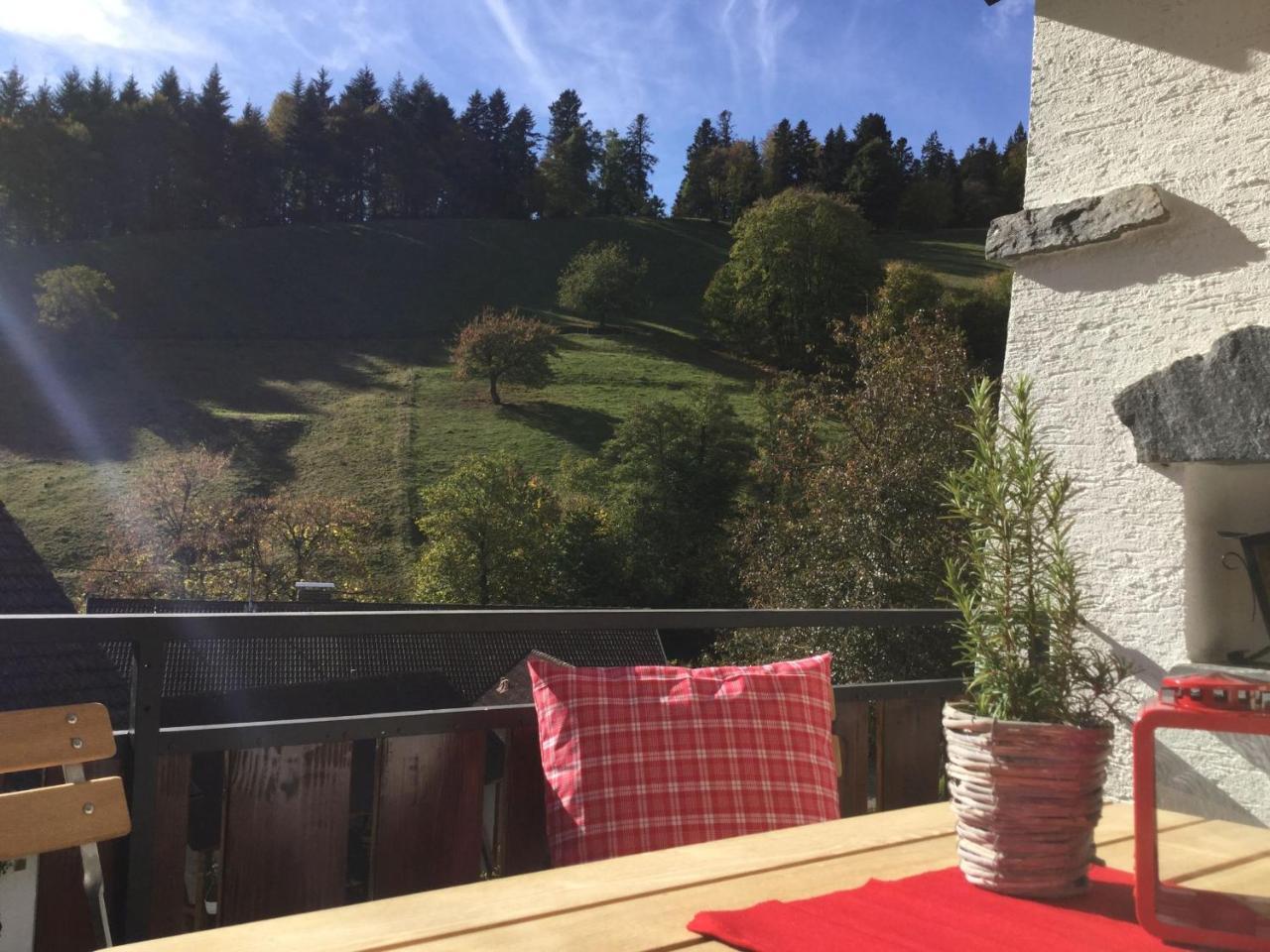شقة Erikas Haus Münstertal المظهر الخارجي الصورة