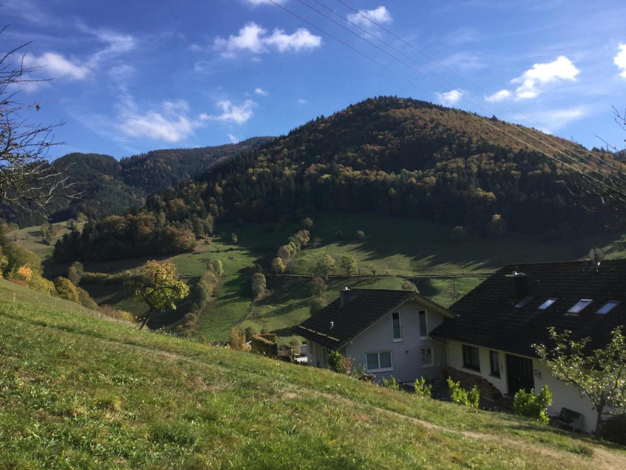 شقة Erikas Haus Münstertal المظهر الخارجي الصورة