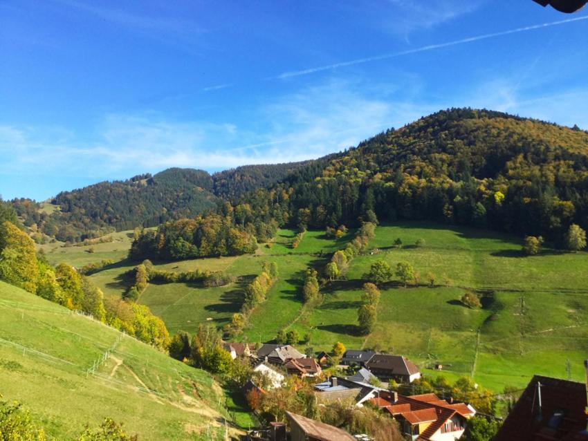 شقة Erikas Haus Münstertal المظهر الخارجي الصورة