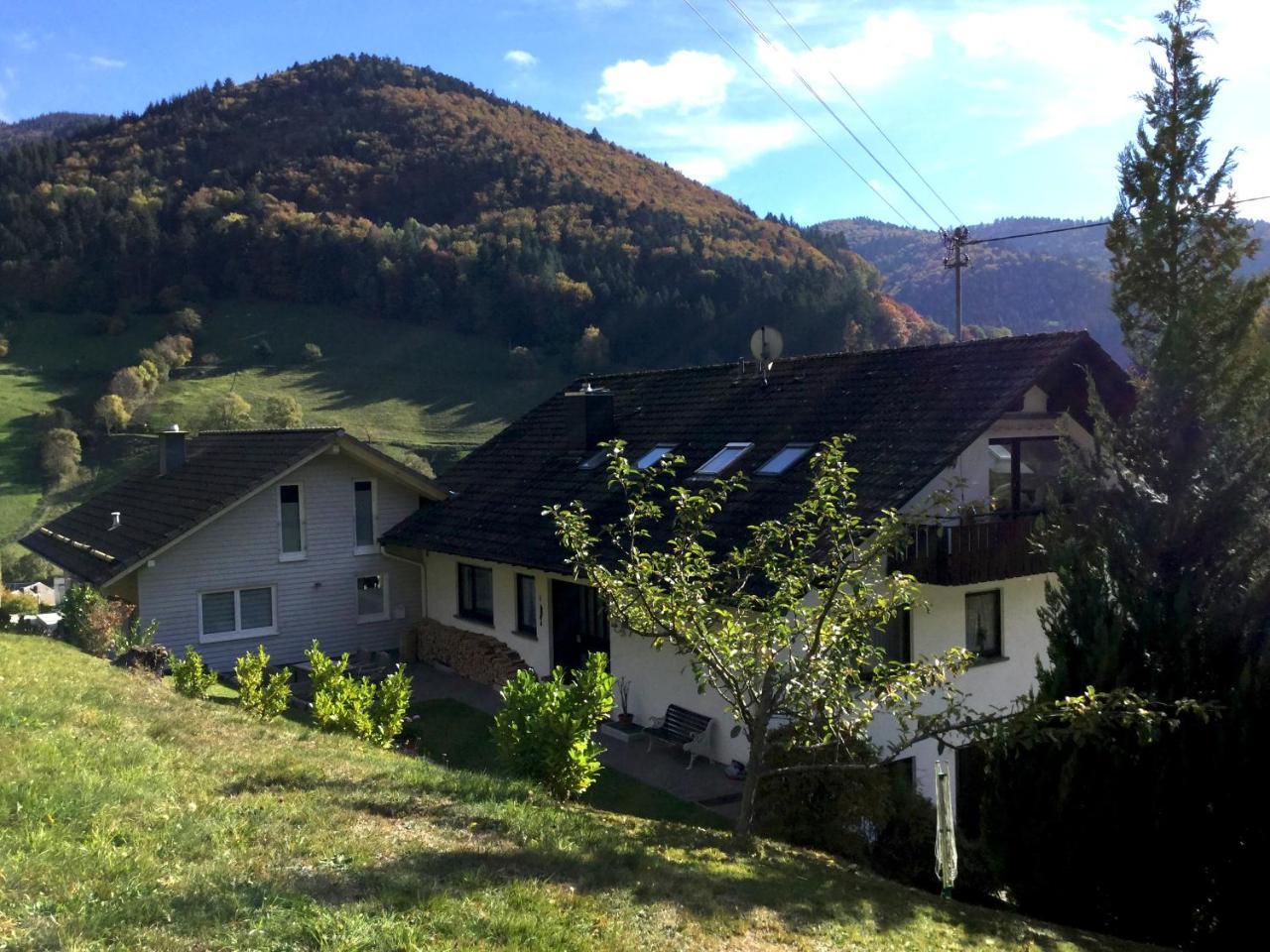 شقة Erikas Haus Münstertal المظهر الخارجي الصورة