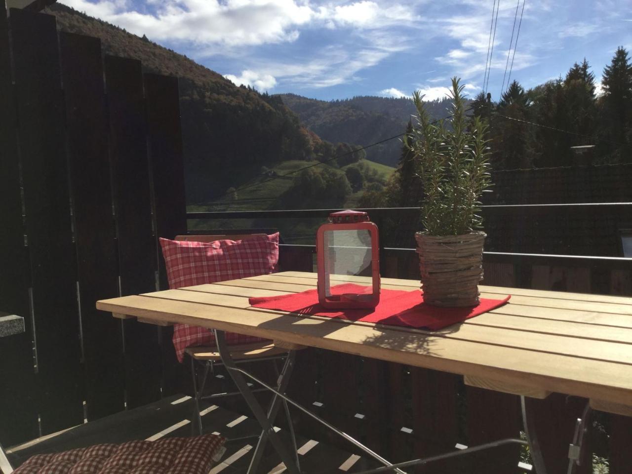 شقة Erikas Haus Münstertal المظهر الخارجي الصورة