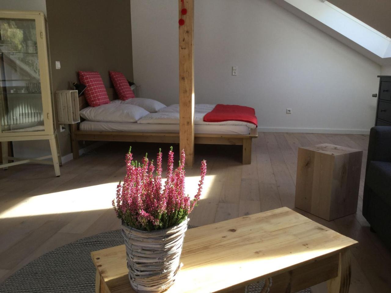 شقة Erikas Haus Münstertal المظهر الخارجي الصورة